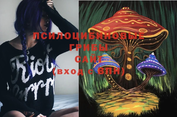 индика Михайлов