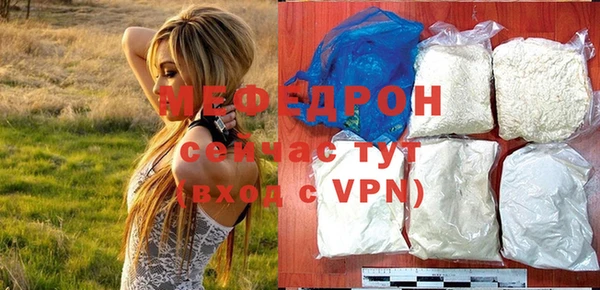 индика Михайлов
