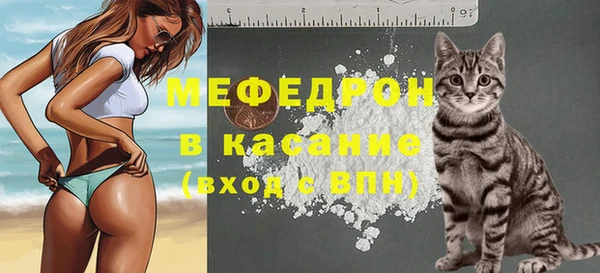 индика Михайлов