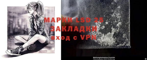хмурый Аша